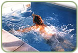 Swimming – massage pool SWIM-TRIM